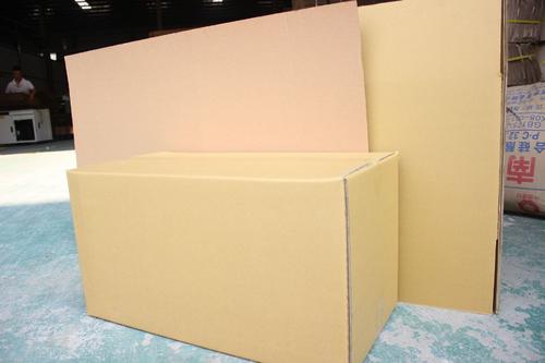 氣味測試在食品包裝紙箱中的應用？